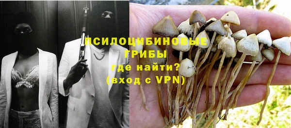 mdpv Баксан