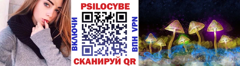 Псилоцибиновые грибы Cubensis  где продают   Серов 